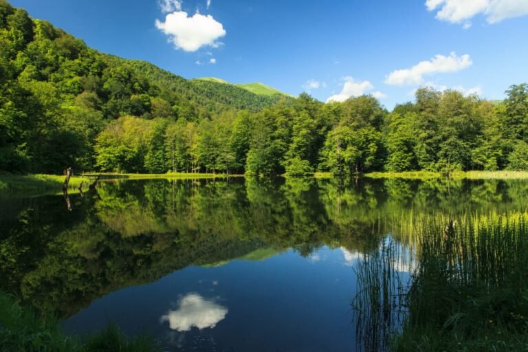 Lake Forest Park