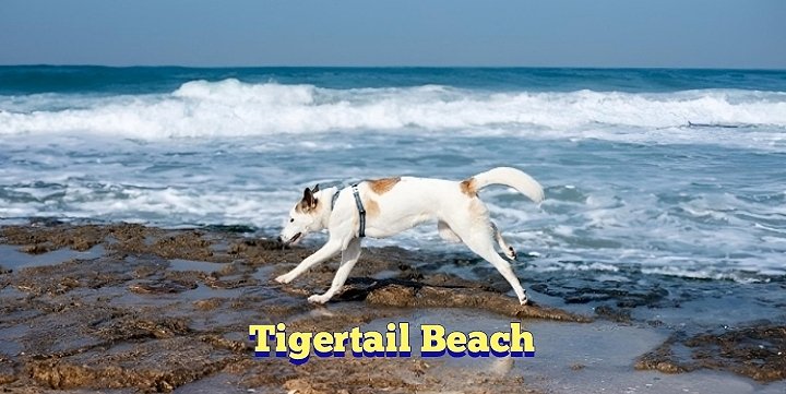 Tigertail Beach: A Hidden Paradise in Marco Island, Florida