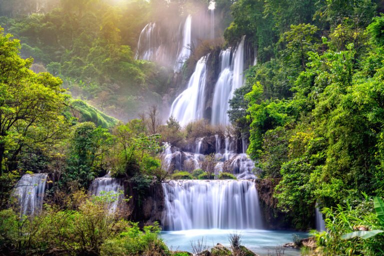 Manoa Falls: A Lush Hawaiian Escape into Nature and Culture