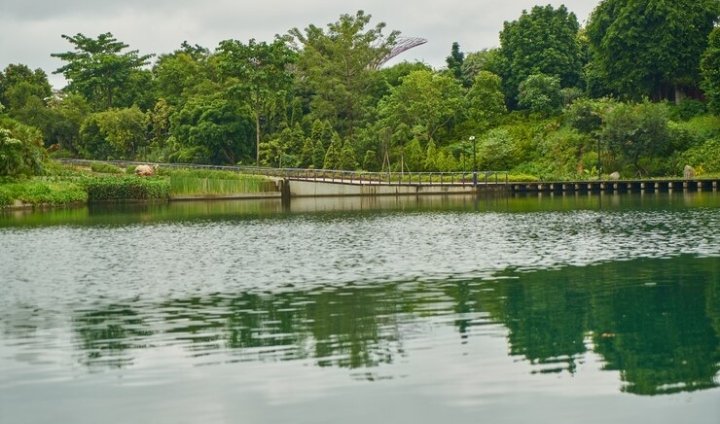 Discover to Lettuce Lake Park