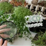Scientific Gardening: A Complete Guide to Growing Healthier Plants Using Science