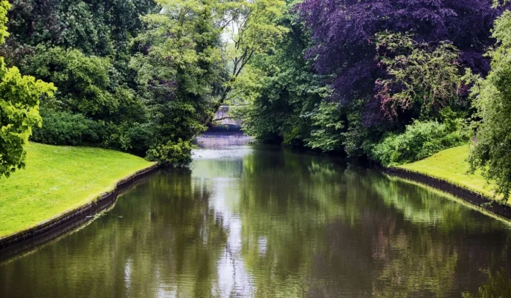 Waterway Gardens: A Complete Guide to Beautiful Water Garden Design
